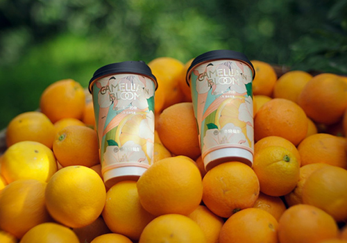 书亦&ldquo;大橘&rdquo;系列暖冬上市，水果奶绿系列销量已超1600w杯